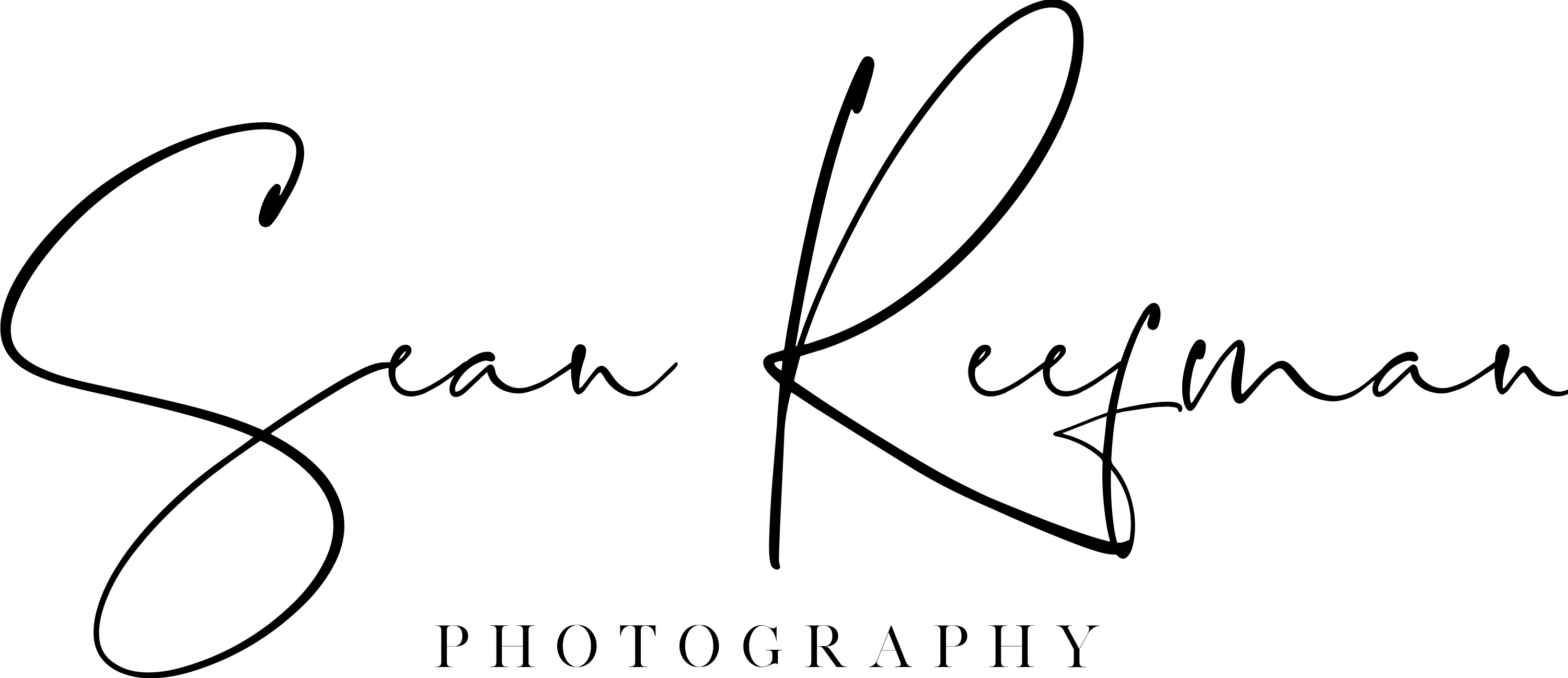 Logo Black ( with transparent background ) 1